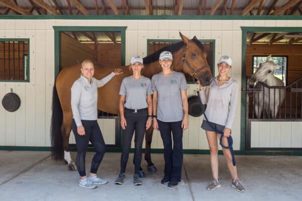 TCF Horse Trainers with a horse in the boarding barn