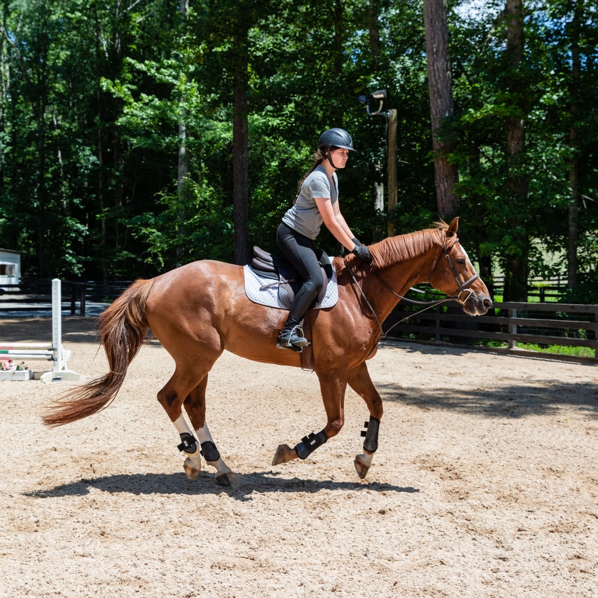 Equestrian Student at TCF in Canton GA