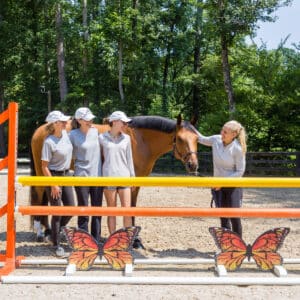Horse Training Farm in Canton GA