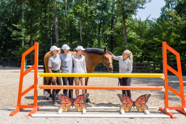Horse Training Farm in Canton GA